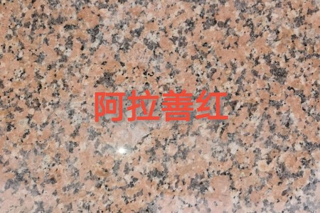 阿拉善紅