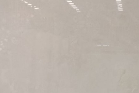 白玉蘭