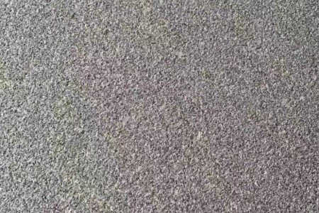 金寨芝麻黑荔枝面