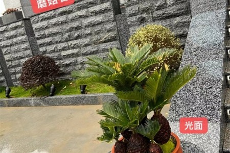 成品現(xiàn)貨