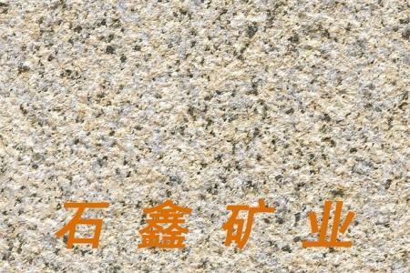 中黃新卡麥荔枝面