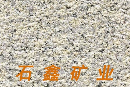 淺黃菊花黃江西銹石江西黃銹石 