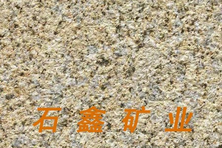 大黃荔枝面新卡麥卡拉麥里金