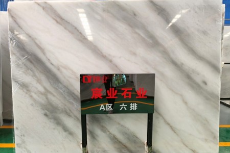 廣西白