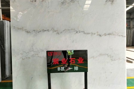 廣西白