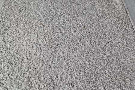 湛江黑