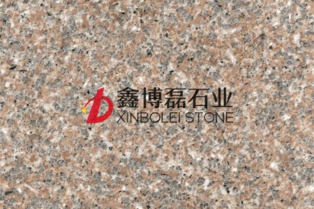 新永定紅