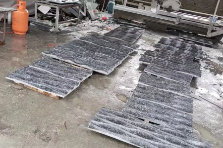 銀珠異形