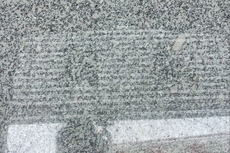 陽(yáng)江花