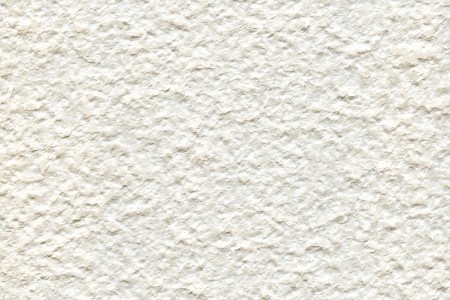 白沙米黃荔枝面