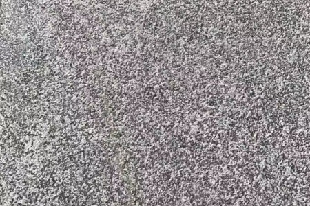 芝麻黑(小藍寶)火燒面
