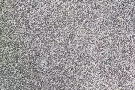 芝麻黑(小藍寶)火燒面