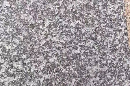 芝麻黑(小藍寶)火燒面