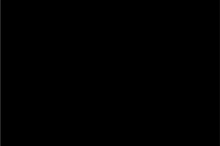中國黑JC126083