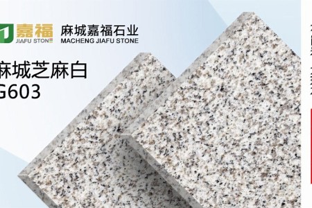 麻城芝麻白G603