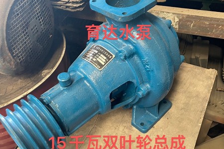 育達(dá)雙封雙葉輪自吸污水泵總成