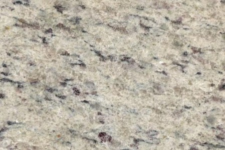 白世貿(mào)小花