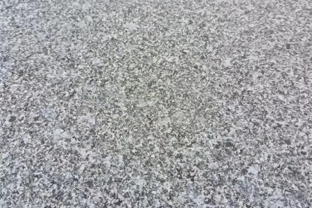 鐘山青荔枝面