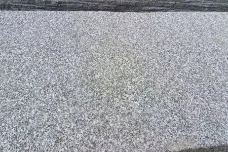 鐘山青荔枝面