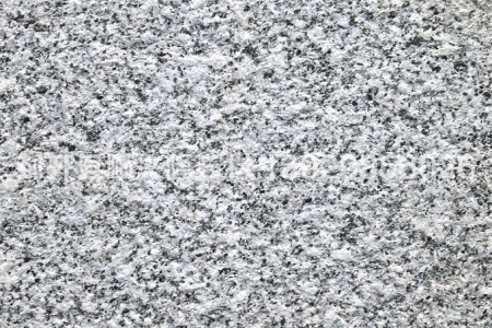 封開(kāi)花荔枝面