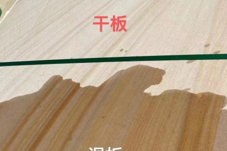 黃木紋