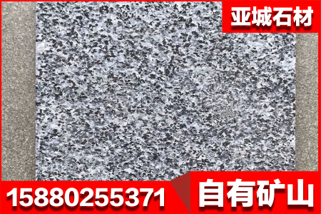 新芝麻黑火燒面