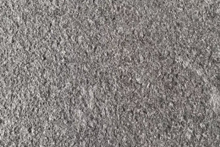 西鄉(xiāng)黑荔枝面