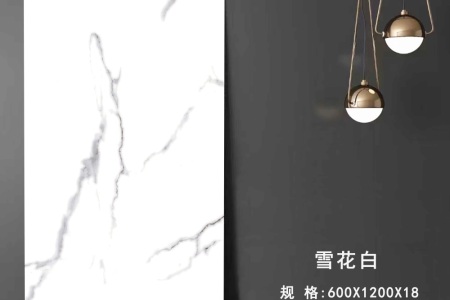 雪花白 XHB601206