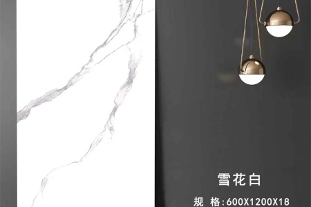 雪花白 XHB601215