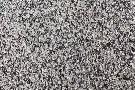 芝麻黑荔枝面