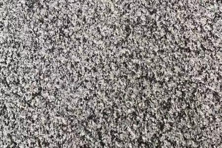 芝麻黑荔枝面