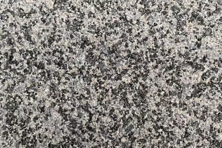 江西芝麻黑荔枝面