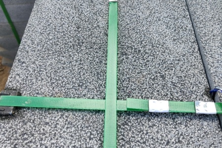 湛江黑荔枝面