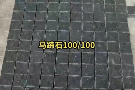 蒙古黑馬蹄石