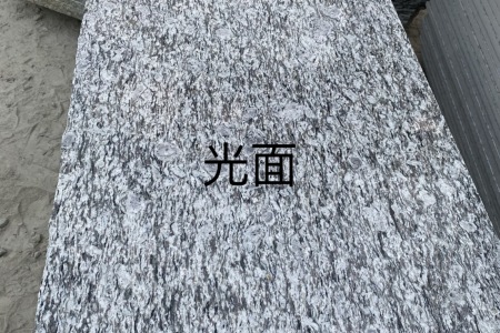 海浪花（浪花白）