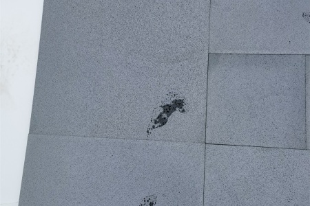 海南黑法國拼粗磨