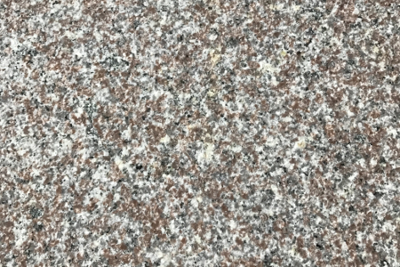 新永定紅