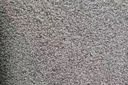 新礦中國(guó)黑荔枝面