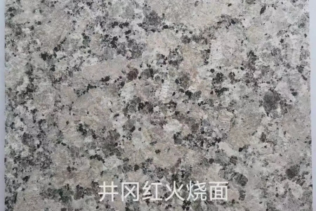 井岡紅