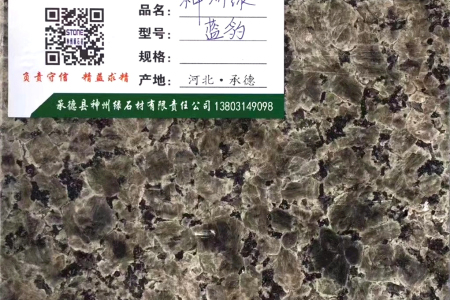 藍(lán)豹