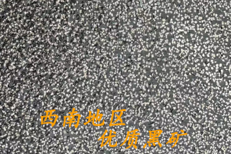 荔枝面蒙古黑彭水黑福鼎黑小藍(lán)寶