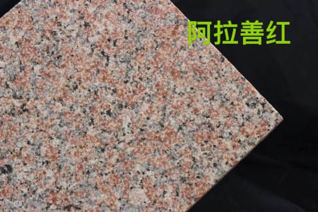 阿拉善紅荔枝面