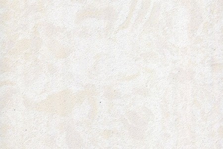 阿曼米黃