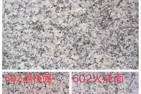 G602樣板