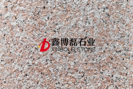 永定紅荔枝面