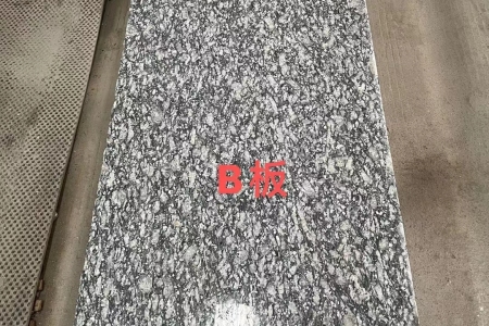 浪花白(海浪花)