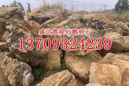 觀賞石泰山石九龍壁景觀石
