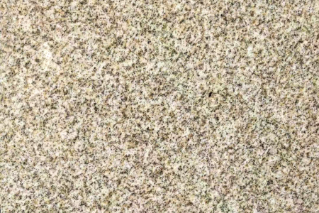 山東黃金麻