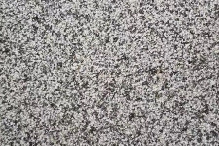 新芝麻黑荔枝面