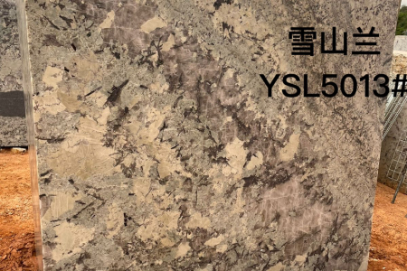 雪山蘭荒料